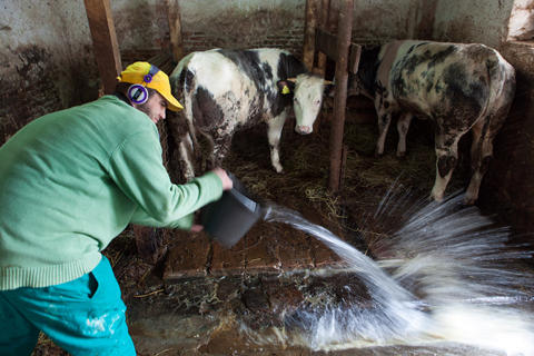 Asezamantul Nazaret, Foto: George Popescu