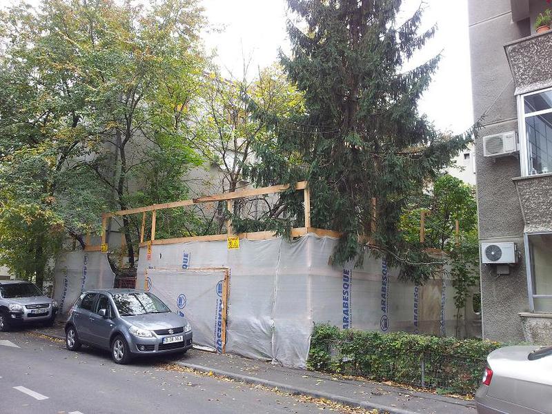 Spatiul verde de pe str. Ghita Padureanu inainte de defrisare, Foto: Hotnews