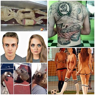 O lume nebuna, Foto: Colaj foto