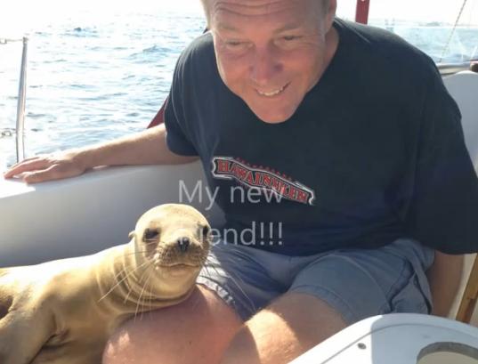 Prietenul din larg, Foto: Captura YouTube