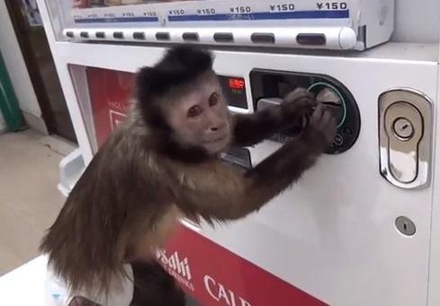 Clipul zilei, Foto: YouTube