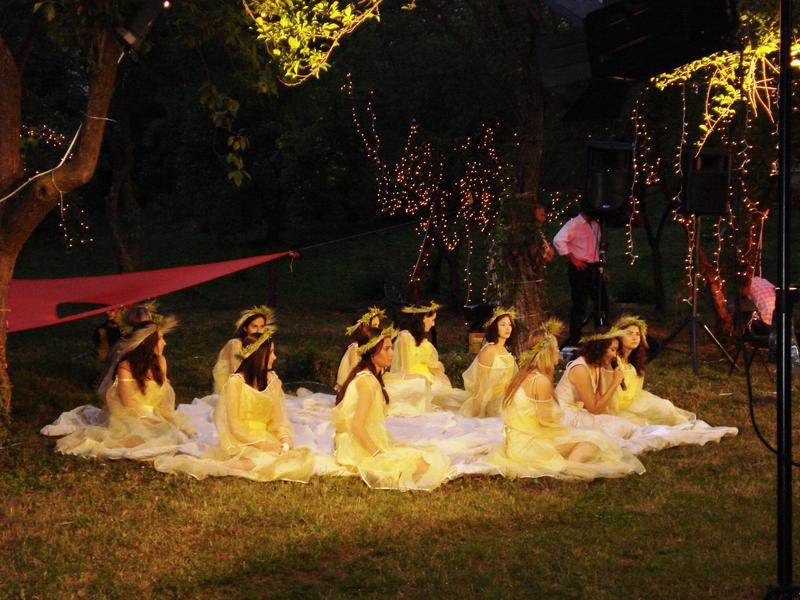 Noaptea de Sanziene la Muzeul Minovici, Foto: Asociatia “Prietenii Muzeelor Minovici”