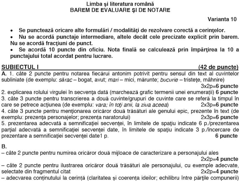 Barem Limba si literatura romana, Foto: edu.ro