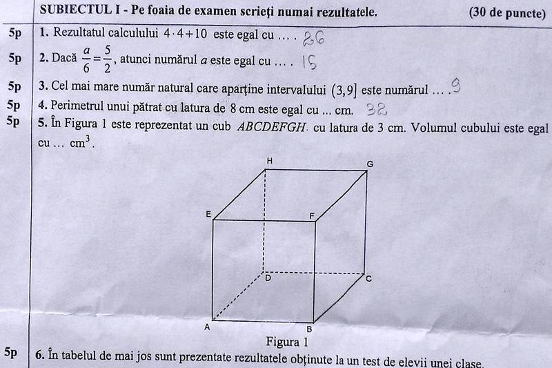 Subiecte Matematica 2013 Evaluarea Nationala, Foto: Hotnews