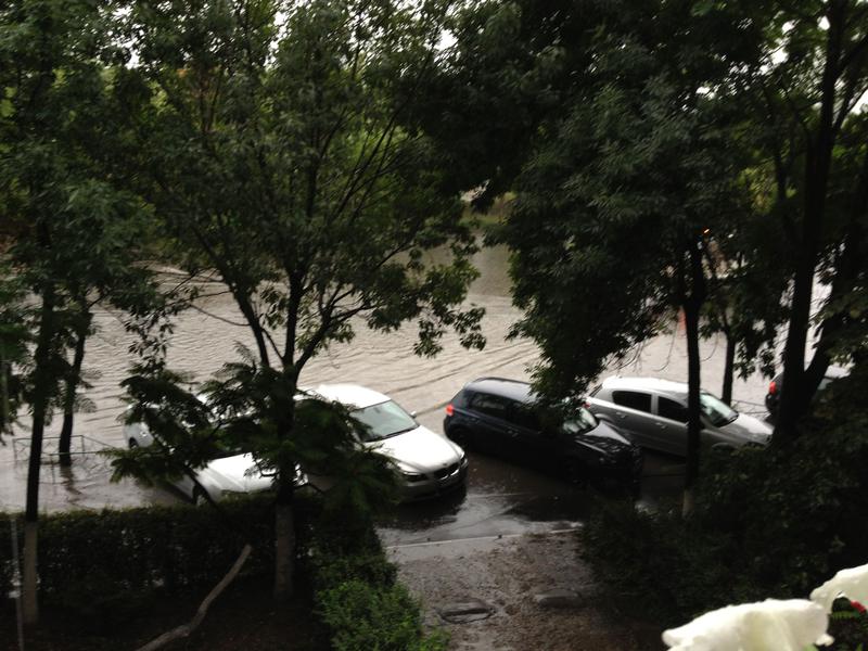 Vacaresti inundat, Foto: USER UPLOADED