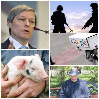 Business, Foto: Colaj foto