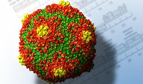 HSTV1, Foto: Alphagalileo.org