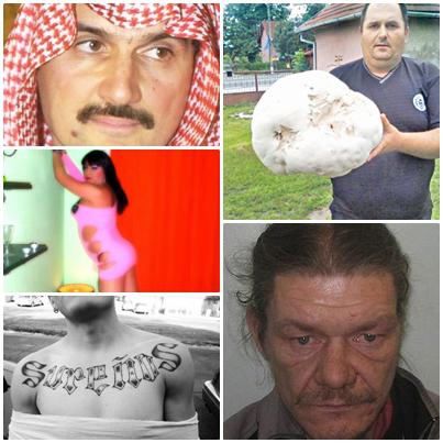 O lume nebuna, Foto: Colaj foto