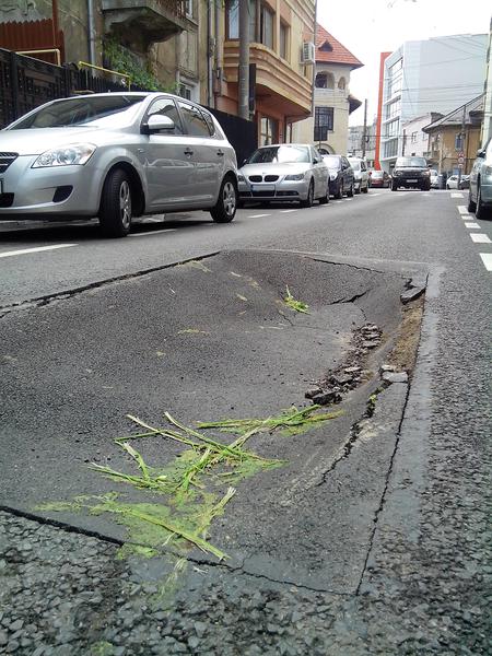 Groapa asfalt, Foto: USER UPLOADED