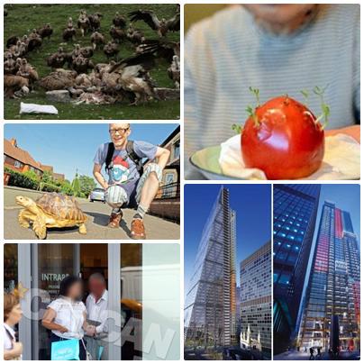 O lume nebuna, Foto: Colaj foto