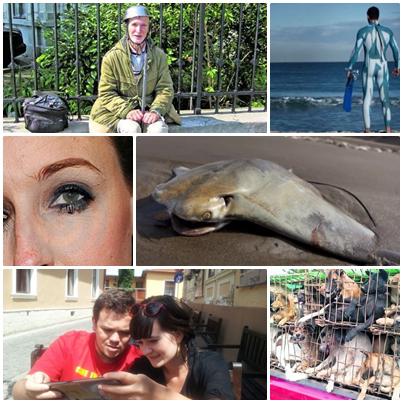 O lume nebuna, Foto: Colaj foto