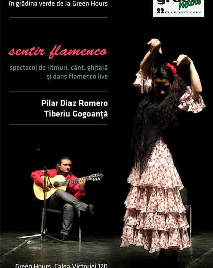 Concert de flamenco, Foto: Afis