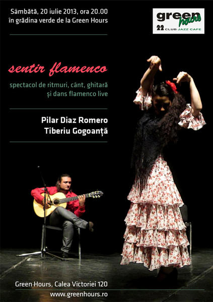 Concert de flamenco, Foto: Afis
