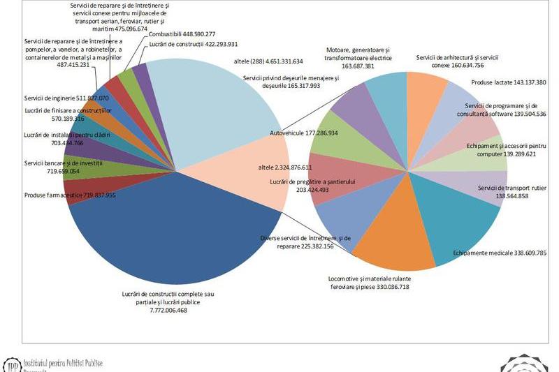 Achizitiile publice totale in 2012, Foto: IPP