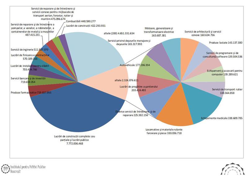 Achizitiile publice totale in 2012, Foto: IPP