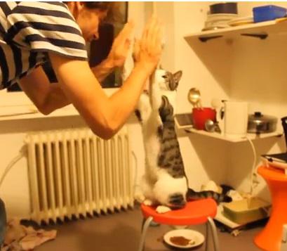 Clipul zilei, Foto: YouTube