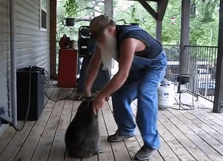 Dansatorul si ratonul, Foto: Captura YouTube