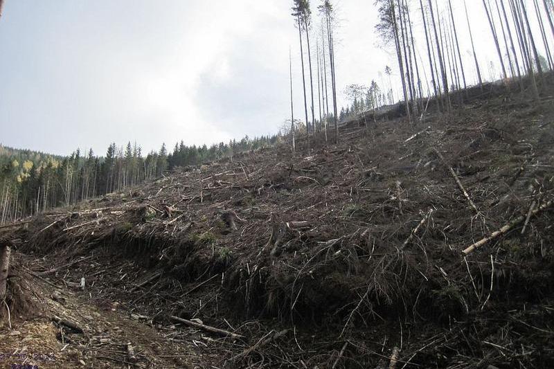 taiere ilegala in Arges - Lacul Pecineagu - identificata in cadrul actiunii din 27 octombrie 2012, Foto: USER UPLOADED