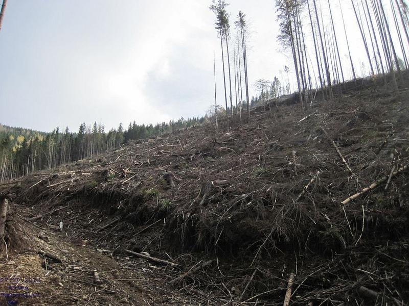 taiere ilegala in Arges - Lacul Pecineagu - identificata in cadrul actiunii din 27 octombrie 2012, Foto: USER UPLOADED