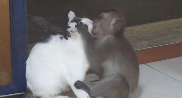 Dragoste mare, Foto: Captura YouTube