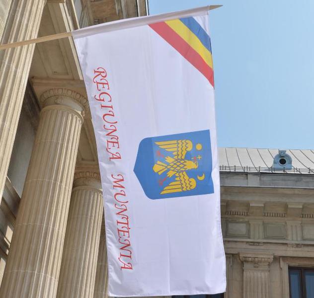 Proiectul de steag al Regiunii Muntenia e marul discordiei, Foto: CJ Prahova