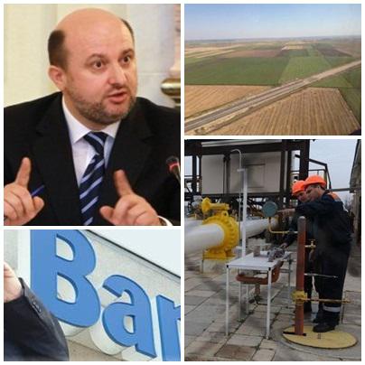 Business report, Foto: Colaj foto