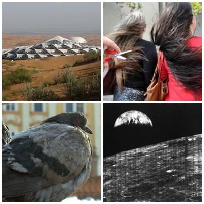 Faze tari, Foto: Colaj foto