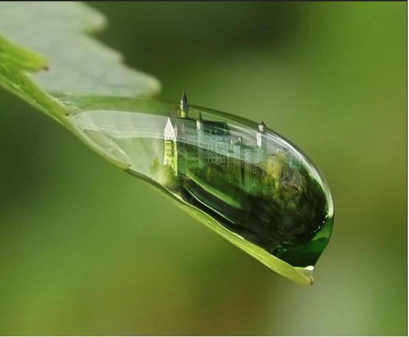 Remember Horton, Foto: Muzart Grafica