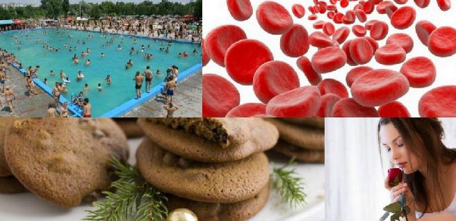 Utile, Foto: Colaj foto