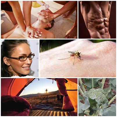 Utile, Foto: Colaj foto