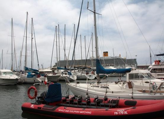 Port in Madeira, Foto: caia.ro