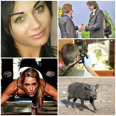 Faze tari, Foto: Colaj foto