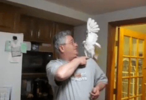 Discutie aprinsa, Foto: Captura YouTube