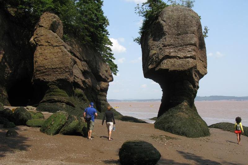 Plimbare pe fundul Oceanului, Foto: USER UPLOADED