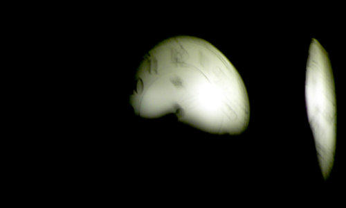 Insomnia afecteaza memoria, Foto: MorgueFile.com