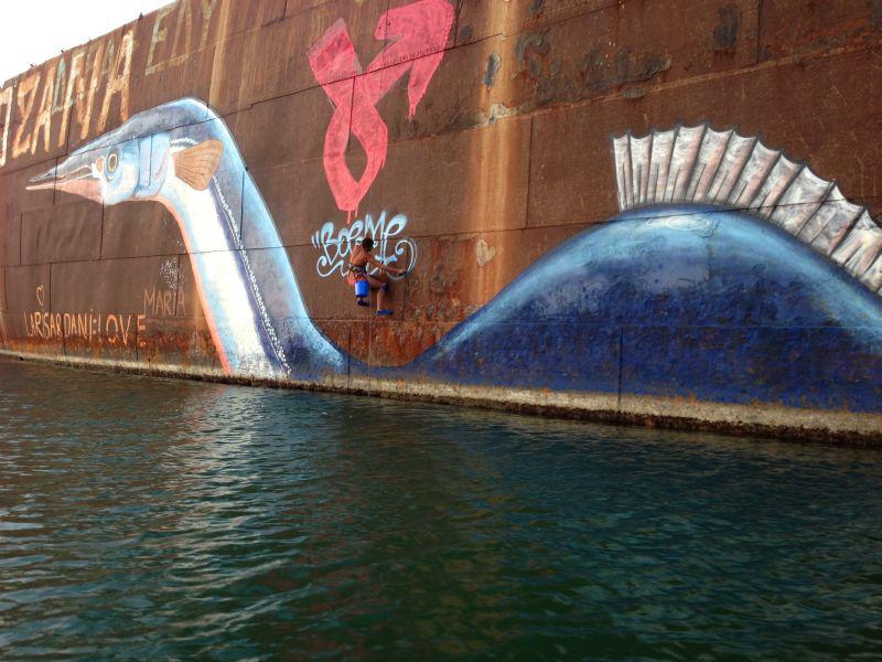 Zarganul din Costinesti, Foto: