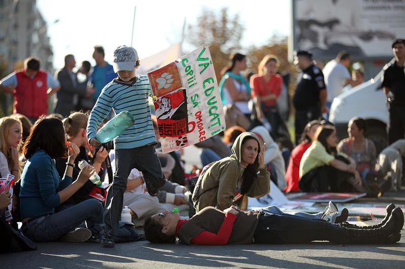 Protest fata de eutanasierea cainilor comunitari, Foto: HotNews / Dan Popescu