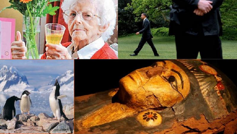 Faze tari, Foto: Hotnews