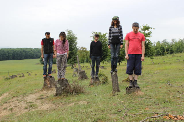 Harta taierilor de paduri / Foto: A.L.B., Foto: Hotnews