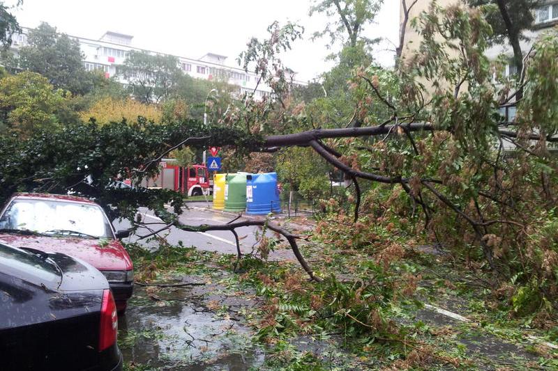 Furtuna in Bucuresti (arhiva), Foto: Hotnews