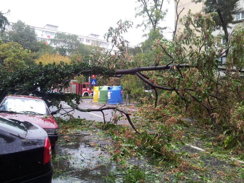 Furtuna in Bucuresti (arhiva), Foto: Hotnews