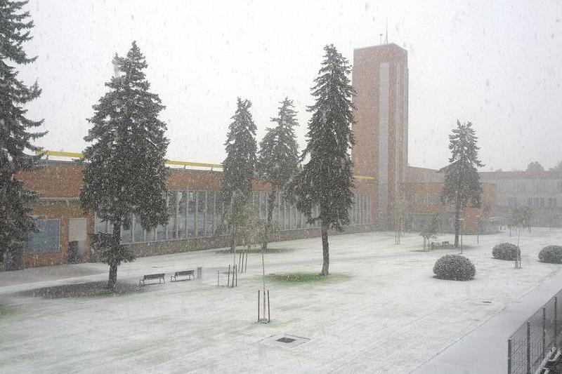 Ninge la Brasov, Foto: Hotnews