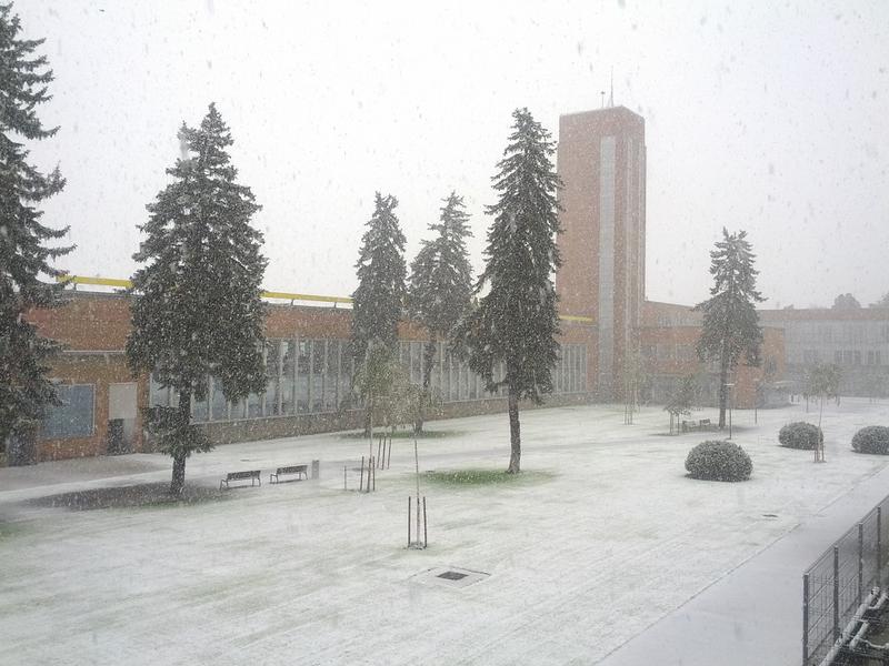 Ninge la Brasov, Foto: Hotnews