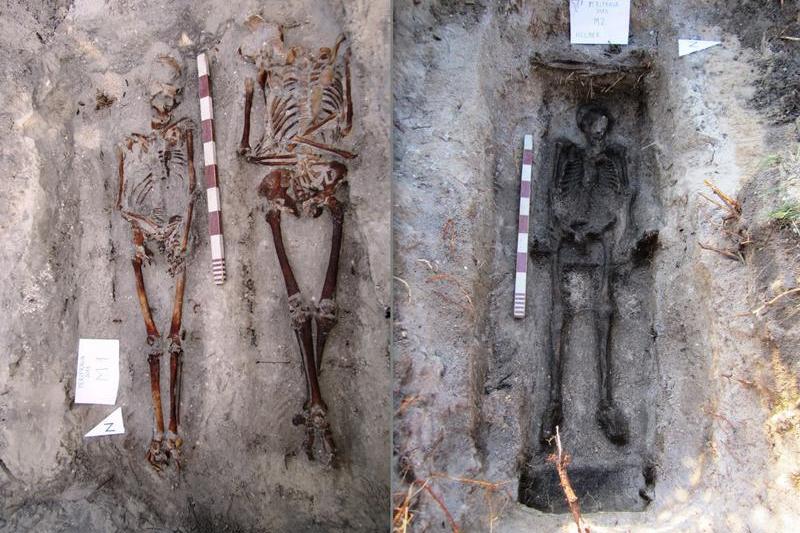 Sapaturi Periprava, Foto: Colaj / Sursa foto: IICCMER