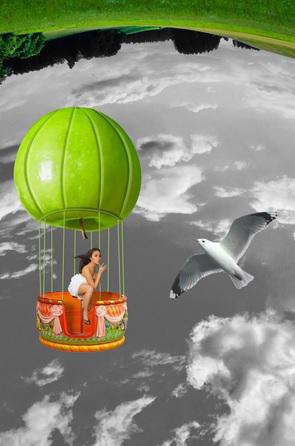 zbor, Foto: Muzart Grafica