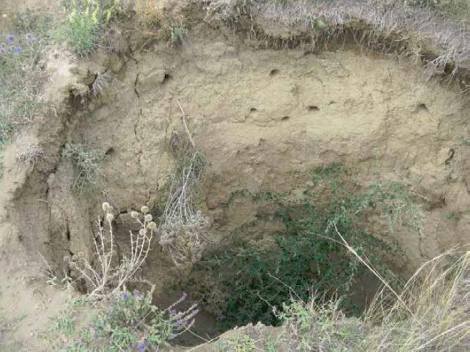 Punct de sufoziune in loess, Foto: Institutul Geologic al Romaniei