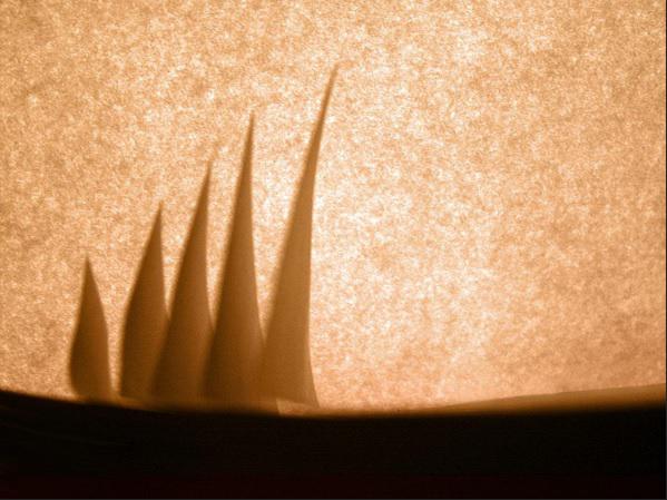 barca pe ape, Foto: Muzart Grafica