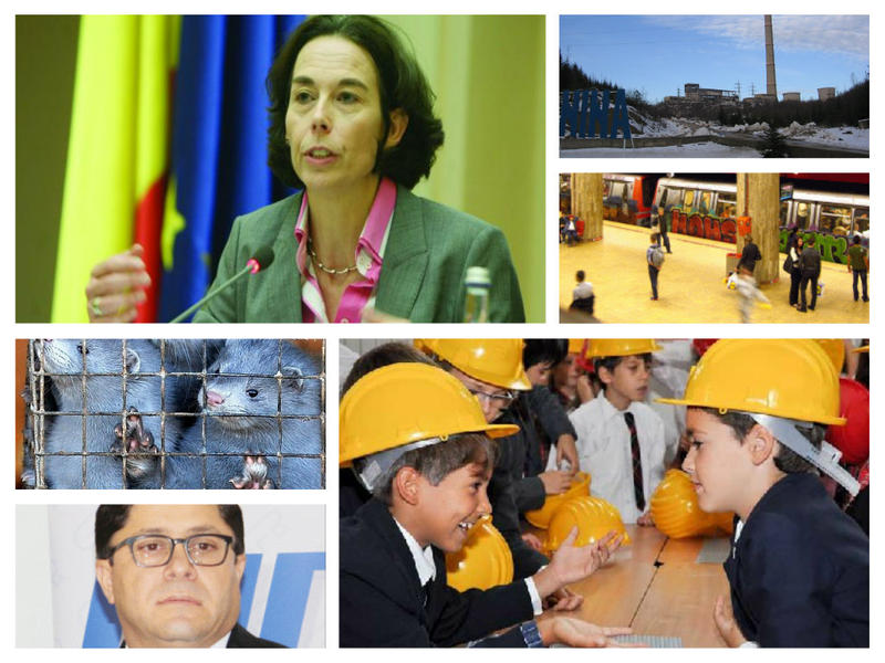 Business report, Foto: Colaj foto