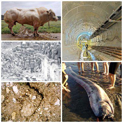 O lume nebuna, Foto: Colaj foto