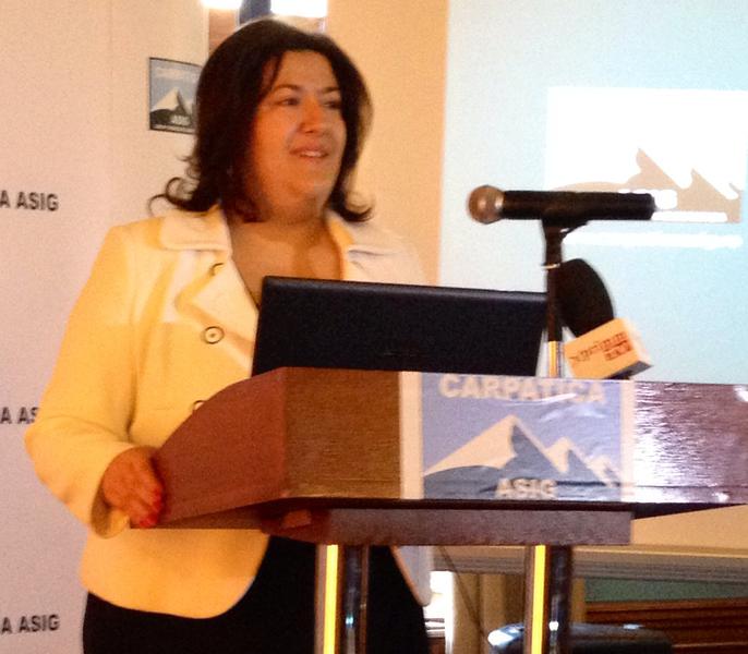 Ina Crudu, directorul general al Carpatica Asigurari, Foto: Hotnews